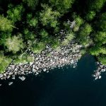 overhead view of forest and river shoreline