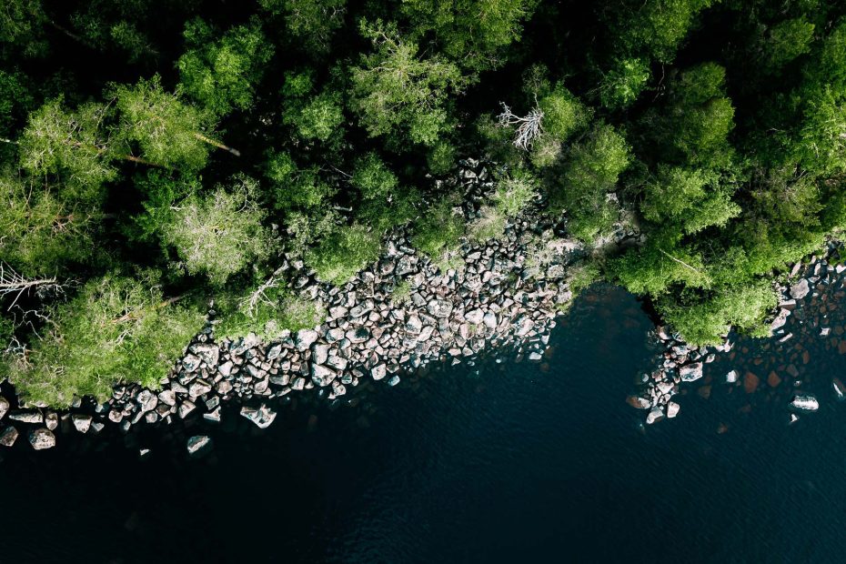 overhead view of forest and river shoreline