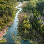 Overhead view of stream through forest