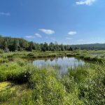 eco-web environmental services: aquatic monitoring