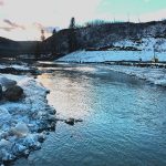 eco-web environmental services: aquatic monitoring