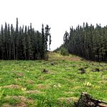 eco-web environmental services: reclamation monitoring