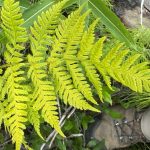 eco-web environmental services: reclamation monitoring