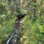 eco-web hydrological services - streambed assessments