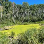 eco-web hydrological services - water quality monitoring