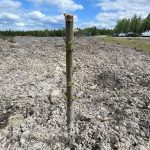 eco-web reclamation services: ecological restoration