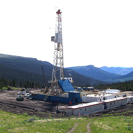 eco-web services - oil & gas