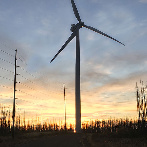 eco-web services - wind energy
