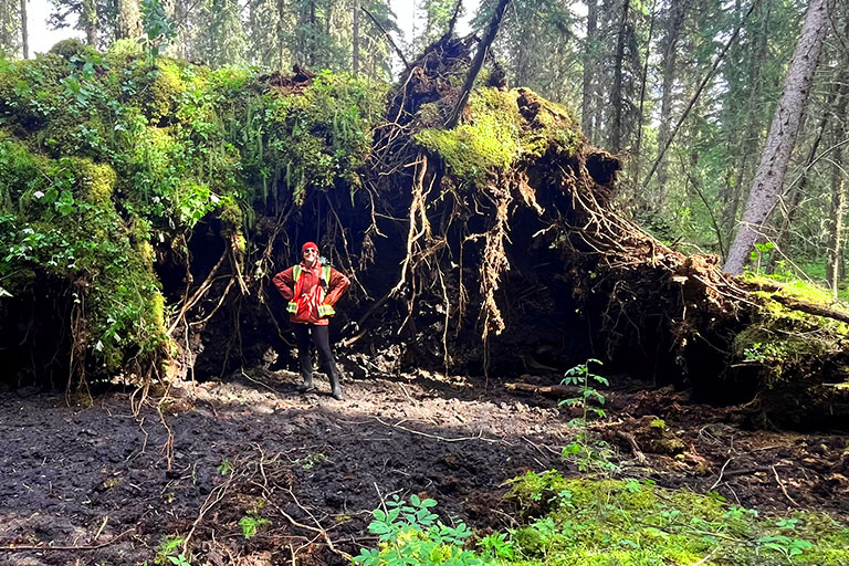 Person standing beside tree roots.
