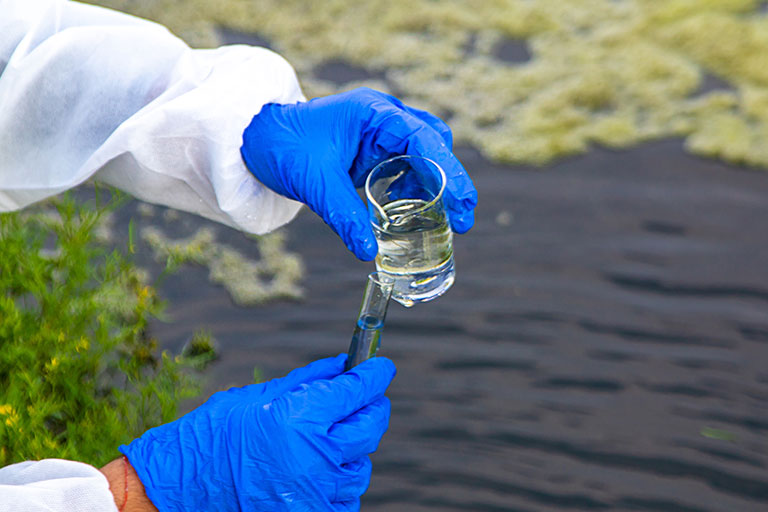 Sampling water from stream.