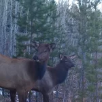 eco-web-game_camera_02