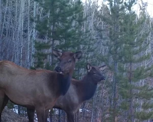 eco-web-game_camera_02