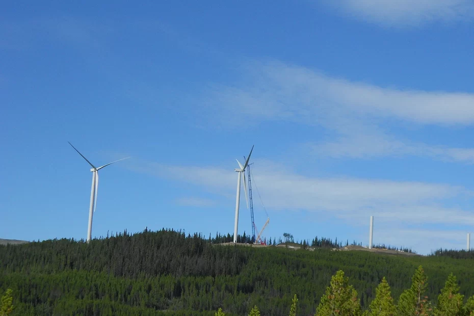 Eco-Web & Meikle Wind project